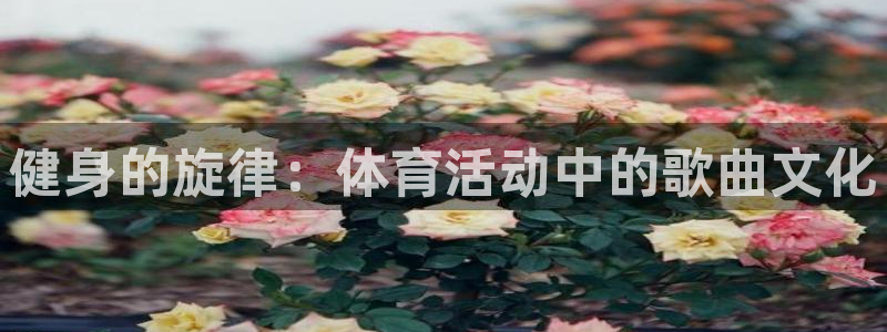 熊猫体育网址：健身的旋律：体育活动中的歌曲文化