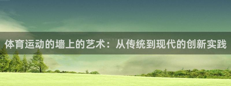 熊猫体育手机版下载：体育运动的墙上的艺术：从传统到现代的创新实践