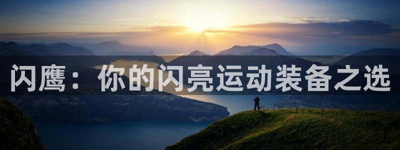 熊猫体育app官方下载最新版：闪鹰：你的闪亮运动装备之选