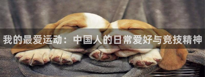 下载熊猫体育：我的最爱运动：中国人的日常爱好与竞技精神