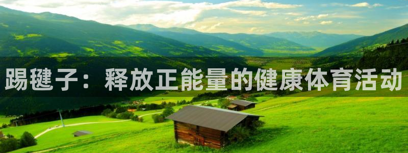 熊猫体育app官方下载最新版：踢毽子：释放正能量的健康体育活动